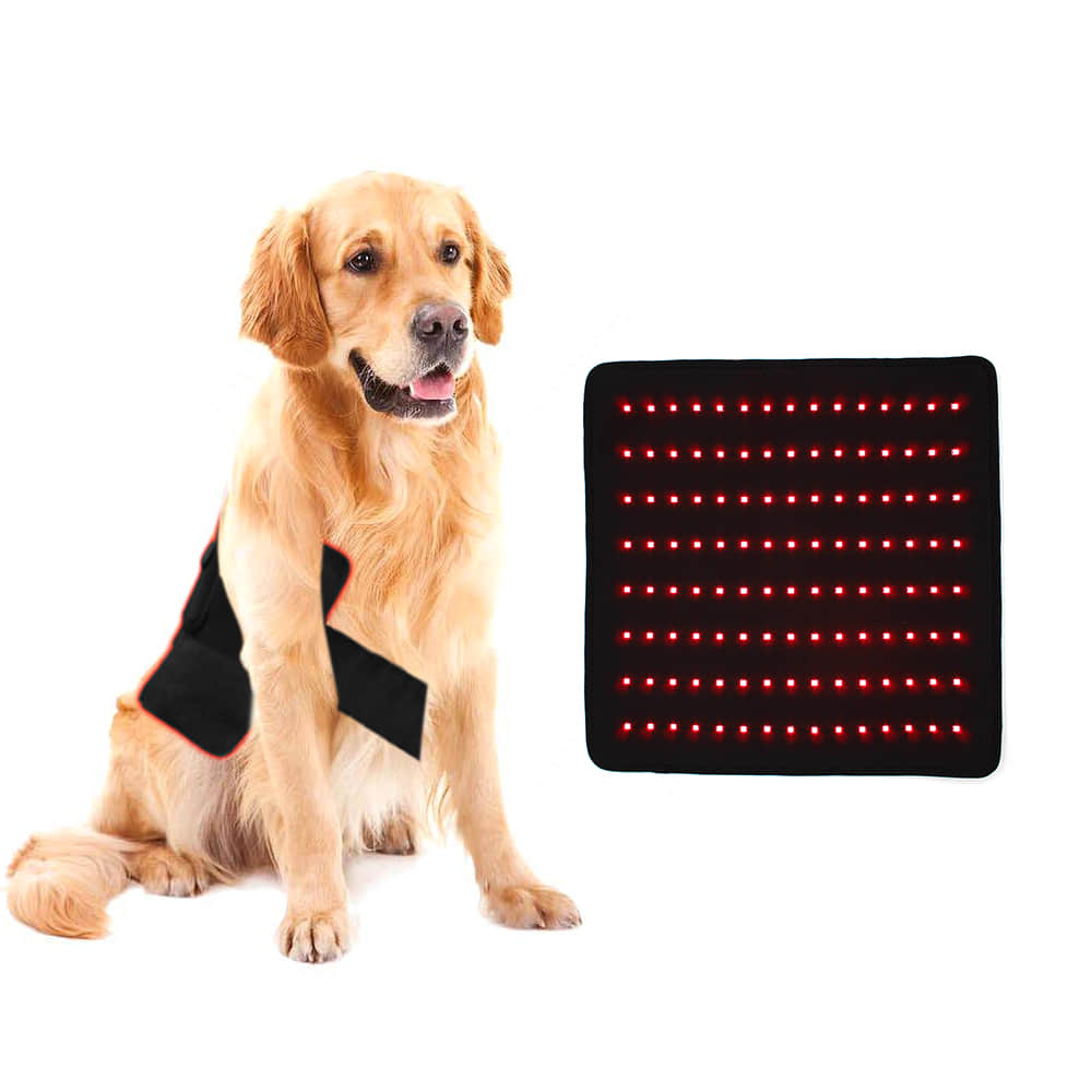 YD-003 Equine Pad Red light and Near Infrared Red(NIR) Light therapy pad for animal horse pet