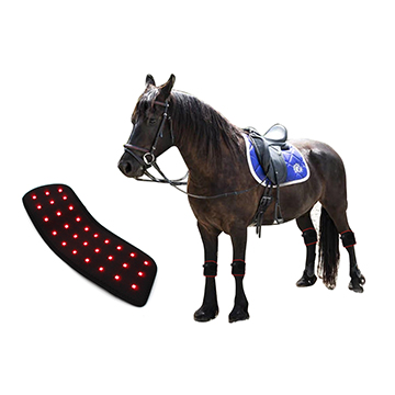 YD-008 Equine Horse Pad Red light and Near Infrared Red(NIR) Light therapy animal pad