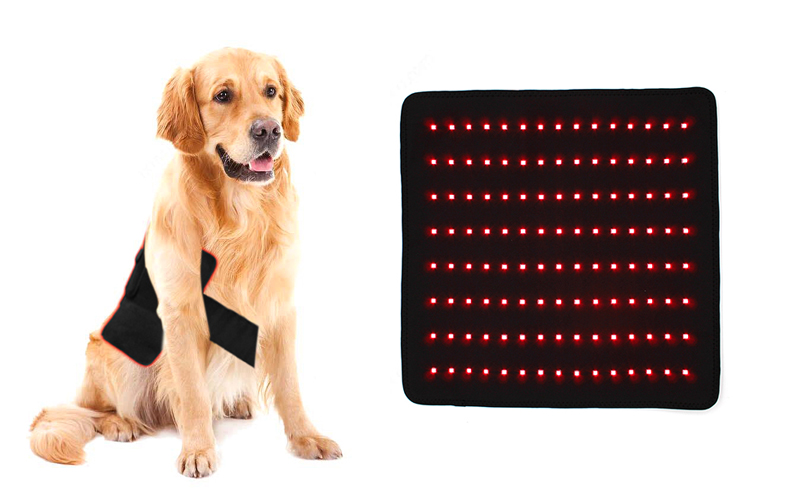 YD-003 Equine Pad Red light and Near Infrared Red(NIR) Light therapy pad for animal horse pet