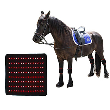 Reduce Inflammation Equine Canine Light Therapy Pads Wound Healing for Animal
